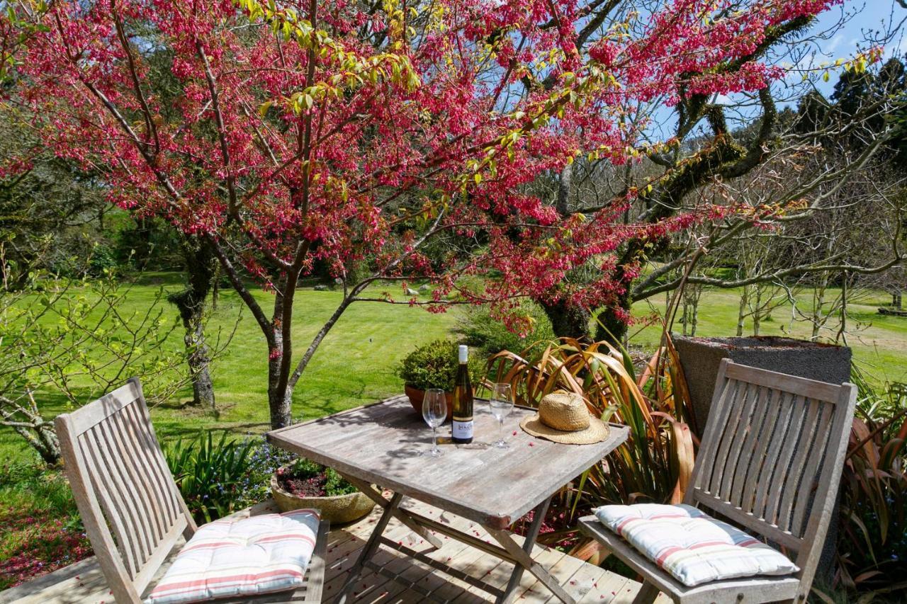 Hare'S Rest Villa Taupo Eksteriør bilde
