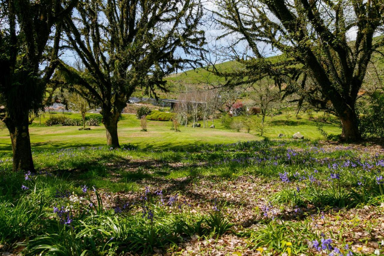 Hare'S Rest Villa Taupo Eksteriør bilde